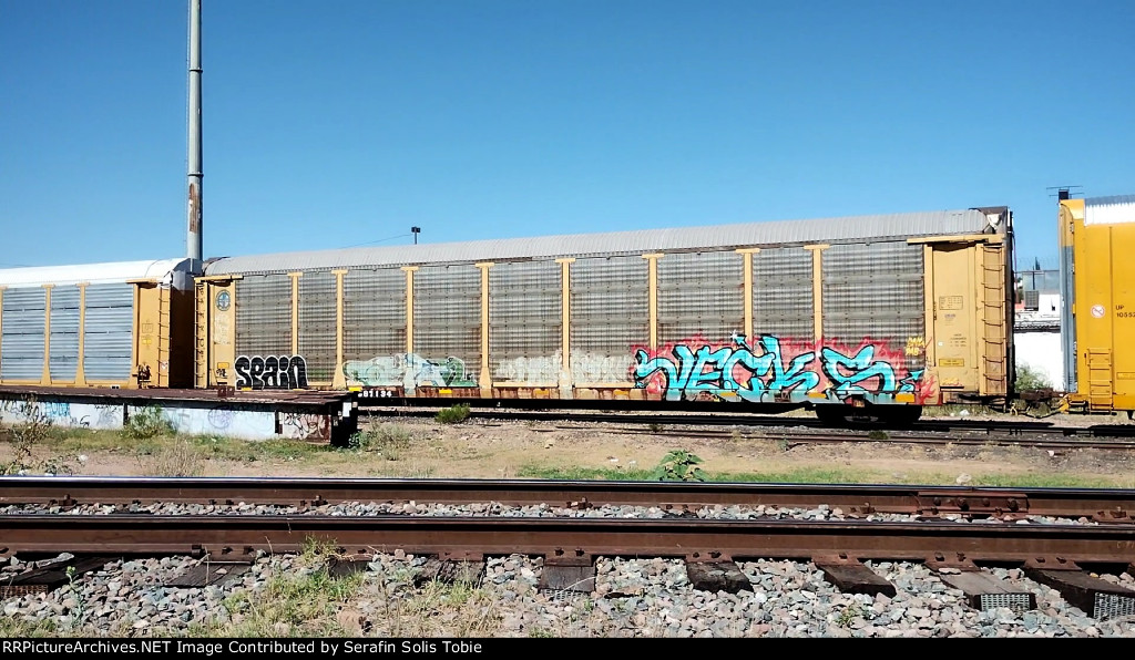 BNSF 21965 TTGX 987134